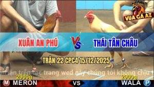 Trận 22 CPC4 15/12/2025 - Điều Chạy Xe Úa Dí Theo Ăn Cự Chạy Ngược Lại