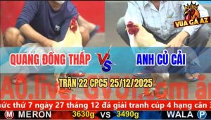 Trận 22 CPC5 25/12/2025 - Bướm Anh Củ Cải Nhìn Xấu Mà Đâm Úa Bay Bồ