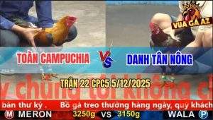 Trận 22 CPC5 5/12/2025 - Điều Xanh Đâm Điều Đỏ Lìa Giò, Cò Cò Bỏ Chạy