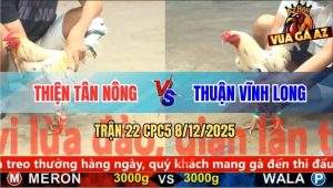 Trận 22 CPC5 8/12/2025 - Gà Bướm Anh Thiện Dí Bạc Đụng Ngay Cọp
