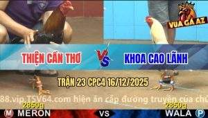 Trận 23 CPC4 16/12/2025 - Bướm Anh Khoa Hít Vô Đâm Điều Ói Chạy Chết