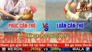 Trận 24 CPC5 24/12/2025 - Bướm Râu Anh Luân Cần Thơ Đâm Như Phát Xít
