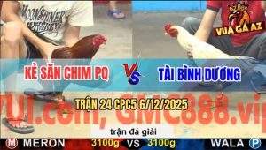 Trận 24 CPC5 6/12/2025 - Kẻ Săn Chim Phú Quốc Gặp Anh Tài Bình Dương