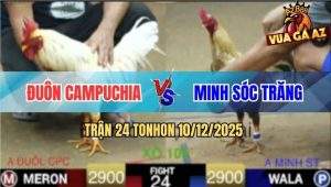 Trận 24 TonHon 10/12/2025 - Bướm Cọp Anh Đuôn Nhấc Chân Là Có Kết Quả