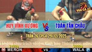 Trận 26 CPC4 29/12/2025 - Bướm Anh Toàn Đá Toàn Đâm Mu Lưng
