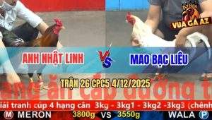 Trận 26 CPC5 4/12/2025 - Bướm Đá Điều Ói Xong Bỏ Đi Báo Hại Hàng Sáo