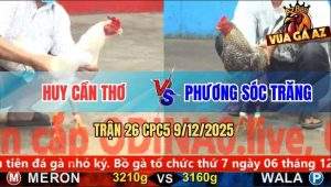 Trận 26 CPC5 9/12/2025 - Úa Mặt Râu Đá Chân Nào Tiền Về Chân Đó