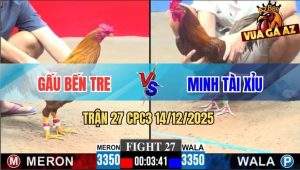 Trận 27 CPC3 14/12/2025 - Gà Khét Anh Gấu Chưa Kịp Dỡ Giò Đã Bưng Ra