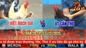 Trận 28 CPC5 5/12/2025 - Điều Cọp Anh Út Đâm Úa Anh Việt Như Cái Rổ