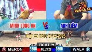 Trận 29 CPC3 14/12/2025 - Que Nghệ Má Minh Đâm Phát Nào Dính Phát Đó