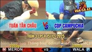 Trận 3 CPC4 15/12/2025 - Úa Cọp Anh Tuấn Dí Bướm CPC Chạy Bay Bồ
