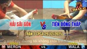 Trận 3 CPC4 29/12/2025 - Điều Đá Nhiều Không Bằng Bướm Đá 1 Chân