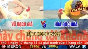 Trận 3 CPC5 8/12/2025 - Gà Bướm Anh Vũ Đâm Thủng Tim Bướm Anh Hòa