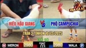 Trận 3 TonHon 10/12/2025 - Bướm Anh Hiếu Đá Toàn Mu Lưng Với Đầu Cần