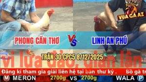 Trận 30 CPC5 8/12/2025 - Que Mặt Lọ Anh Linh Đá Gà Úa Chạy Như Ma Đuổi