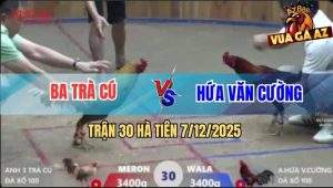 Trận 30 Hà Tiên 7/12/2025 - Gà Anh Ba Trà Cú Nhấc Chân Là Có Kết Quả
