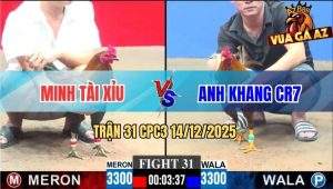 Trận 31 CPC3 14/12/2025 - Khét Cọp Anh Khang CR7 Đá Bo Như Cây Đập