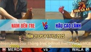 Trận 31 CPC4 17/12/2025 - Điều Lá Anh Hậu Đá Điều Dâu Chạy Như Ma Đuổi