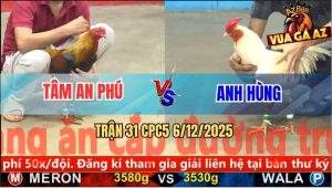 Trận 31 CPC5 6/12/2025 - Gà Úa Anh Hùng Đá 1 Tăng Điều Chạy Mất Dép
