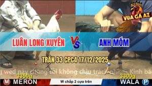 Trận 33 CPC4 17/12/2025 - Điều Anh Món 2 Cây Trên Đâm Bướm Té Cắm Đầu