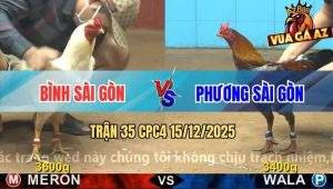Trận 35 CPC4 15/12/2025 - Xám Chân Xanh Anh Phương Đụng Phải Úa Cọp