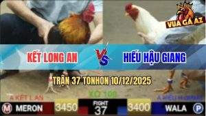 Trận 37 TonHon 10/12/2025 - Anh Kết Và Anh Hiếu Bất Phân Thắng Bại