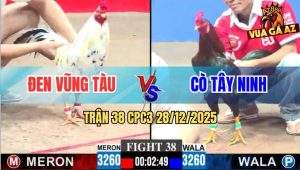 Trận 38 CPC3 28/12/2025 - Phút Sinh Tử Gà Bướm Anh Đen Có Chân Xạo Lờ