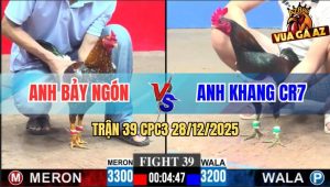 Trận 39 CPC3 28/12/2025 - Xanh Mẻ Hiệu Idol Giờ Chìu Đâm Bông Lụi Tàn