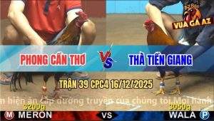 Trận 39 CPC4 16/12/2025 - Hai Con Chụp Vô Cùng Đâm Ngay Tim Hết Sống