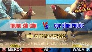 Trận 39 CPC4 17/12/2025 - Điều Lá Nha Trung Nuốt Ói Đá Xanh Tốc Chạy
