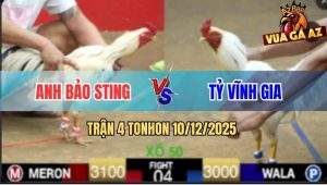 Trận 4 TonHon 10/12/2025 - Bướm Anh Tỷ Đá Bướm Hiệu Bảo Sting Tốc Chạy