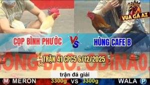 Trận 41 CPC5 6/12/2025 - Anh Cọp Bình Phước Gặp Anh Hùng Cafe B