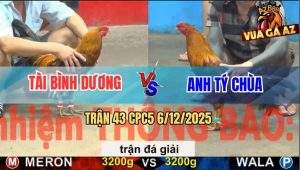 Trận 43 CPC5 6/12/2025 - Anh Tài Bình Dương Gặp Anh Tý Chùa