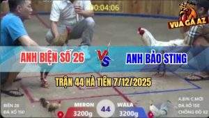 Trận 44 Hà Tiên 7/12/2025 - Bướm Hiệu Bảo Sting Chồng Độ Thất Bại