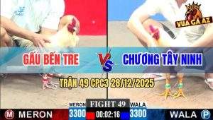 Trận 49 CPC3 28/12/2025 - Gà Úa Anh Chương Đâm Gà Úa Anh Gấu Bại Liệt