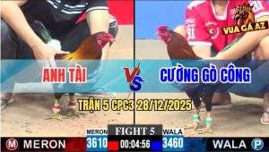Trận 5 CPC3 28/12/2025 - Điều Đỏ Chặn Đúng Chân Điều Xanh Nằm Chèm Bẹp