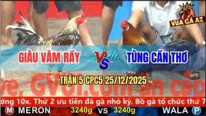 Trận 5 CPC5 25/12/2025 - Điều Cọp Anh Tùng Đâm Xám Bông Thơ Không Kịp