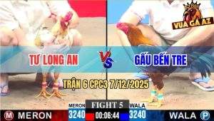 Trận 6 CPC3 7/12/2025 - Anh Gấu Gấp Ăn Bóp Bụng Que Chạy Thua Luôn