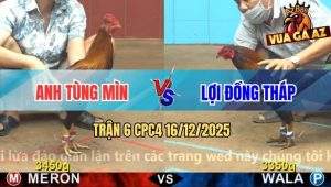 Trận 6 CPC4 16/12/2025 - Anh Tùng Mìn Sửa Gà Cứu Thua Đẳng Cấp