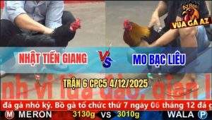Trận 6 CPC5 4/12/2025 - Anh Nhật Và Anh Mo, Bất Phân Thắng Bại