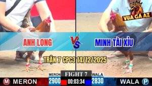 Trận 7 CPC3 14/12/2025 - Khét Chân Trắng Cù Lũ Đá Khét Anh Long Tắt 4G