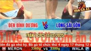 Trận 7 CPC5 13/12/2025 - Điều Xanh Anh Long Đá Phèn Không Kịp Tha Lơ