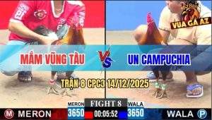 Trận 8 CPC3 14/12/2025 - Anh Mắm Tiếp Tục Rớt Nài Với Anh Un Campuchia
