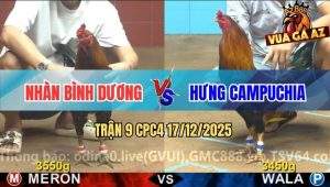 Trận 9 CPC4 17/12/2025 - Gà Điều Anh Hưng Đâm Vàng Bông Tốc Chạy