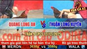 Trận 9 CPC5 12/12/2025 - Điều Bông Đâm Cựa Quá Nhanh Quá Nguy Hiểm