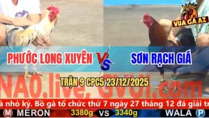 Trận 9 CPC5 23/12/2025 - Bướm Mồng Trà Anh Phước Gồng Tải Cựa Quá Tốt
