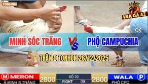 Trận 9 TonHon 26/12/2025 - Bướm Anh Minh Quá Hay, 2 Đá Đối Thủ La Làng