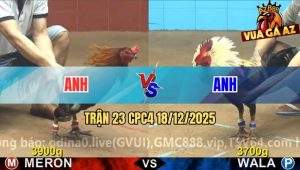 Trận 23 CPC4 18/12/2025