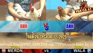 Trận 26 CPC4 18/12/2025