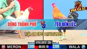 Trận 28 CPC3 21/12/2025